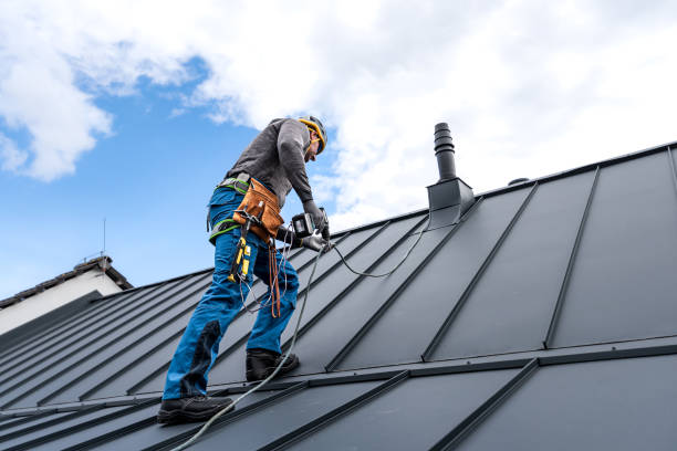 Roof Coating Services in Dolan Springs, AZ